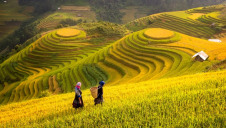 Mars Food will also invest in programmes to address human rights and women’s empowerment